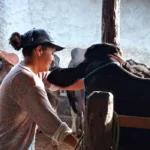 Mulheres rurais enfrentam desafios e informalidade no campo