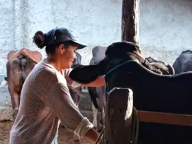 Mulheres rurais enfrentam desafios e informalidade no campo