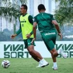 Goiás x Athletico: onde assistir, escalações e tudo sobre o duelo decisivo pela Série B 2025. Imagem: Divulgação Goiás