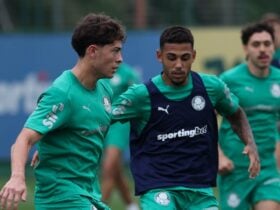 Palmeiras x LDU: onde assistir ao vivo, escalações e tudo sobre o jogo decisivo da Libertadores 2025. Imagem: Cesar Greco/Ag. Palmeiras