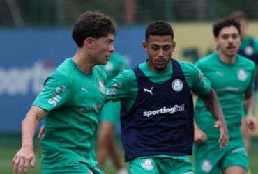 Palmeiras x LDU: onde assistir ao vivo, escalações e tudo sobre o jogo decisivo da Libertadores 2025. Imagem: Cesar Greco/Ag. Palmeiras