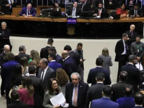 Câmara aprova projeto que tipifica o crime de domínio de cidades