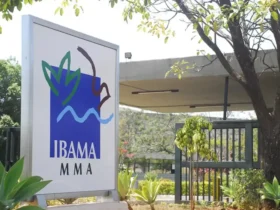 Ibama nega licença ambiental para usina termelétrica em Brasília