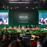 BNDES lança plataforma para monitorar ações do Fundo Clima
