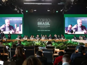 BNDES lança plataforma para monitorar ações do Fundo Clima
