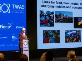 Professora relata resistência do ensino em Gaza durante a guerra