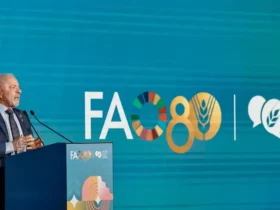 Lula celebra possibilidade de paz definitiva entre Israel e Hamas