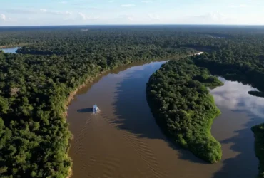 Extrativismo sustentável impulsiona preservação na Amazônia e garante renda local