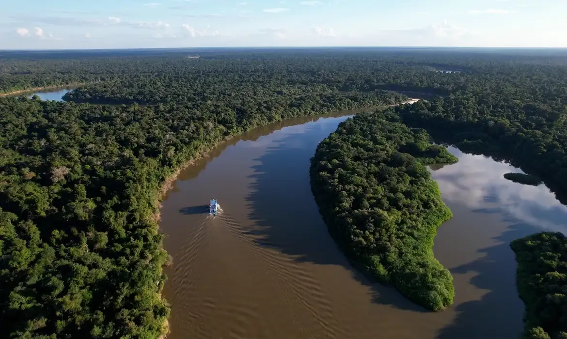 Extrativismo sustentável impulsiona preservação na Amazônia e garante renda local