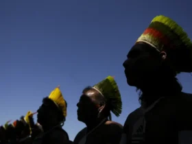 Censo revela que indígenas têm menor renda e desigualdade persiste no Norte e Nordeste