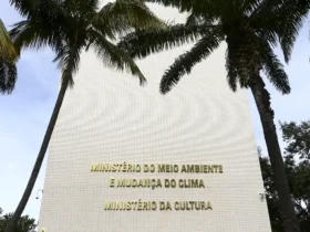 MinC anuncia transformação de escolas de samba em pontos de cultura