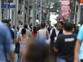 Censo 2022 revela queda no nível de ocupação no Brasil
