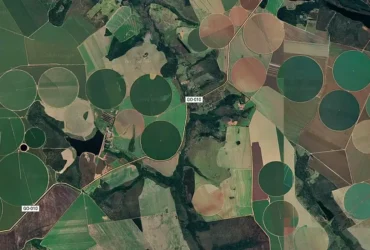 Cerrado brasileiro perde 28% da vegetação nativa em 40 anos