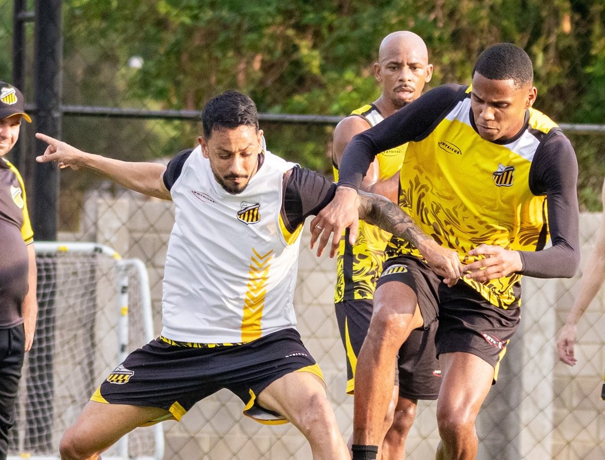 Amazonas x Novorizontino: onde assistir, escalações e tudo sobre o jogo pela Série B. Imagem: @basso.photo Novorizontino Amazonas x Novorizontino: onde assistir, escalações e tudo sobre o jogo pela Série B. Imagem: @basso.photo Novorizontino