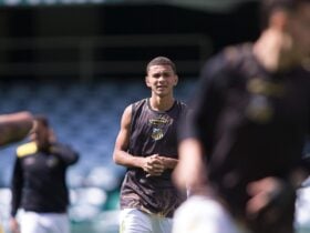 Novorizontino x Botafogo-SP: onde assistir, escalações e tudo sobre o duelo decisivo da Série B. Imagem: @didohenrique Novorizontino