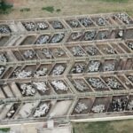 ACNB-Maior-etapa-da-historia-do-Circuito-Nelore-de-Qualidade-avaliou-mais-de-3-mil-animais-foto-divulgacao