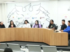 ALMT discute autismo e saúde indígena em reunião inédita