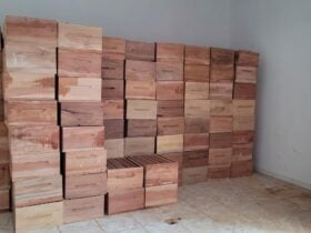 Apicultores de Sorriso recebem 528 caixas e kits de protecao