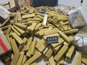 Apreensões de drogas em MT somam R$ 574 milhões em prejuízo às facções