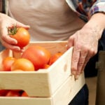 BANNER Tomate ajuda a puxar custo da cesta basica para o menor preco em 2025 1 1024x477 1