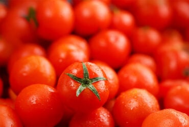 BANNER Tomate interfere novamente no custo da cesta basica em Cuiaba dessa vez ficando mais caro