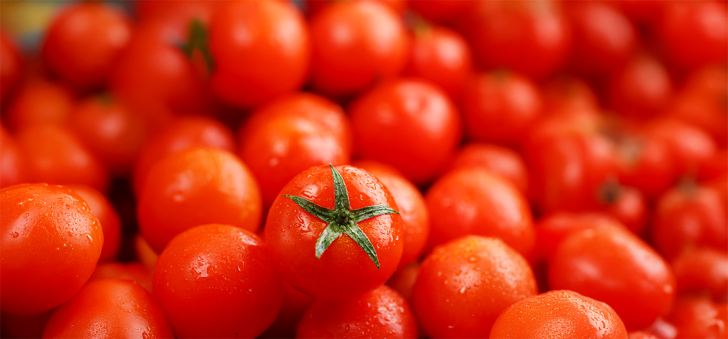 BANNER Tomate interfere novamente no custo da cesta basica em Cuiaba dessa vez ficando mais caro