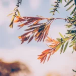 Boa sorte e sucesso financeiro