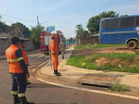 Bombeiros resgatam filhote de gato preso em bueiro em Confresa