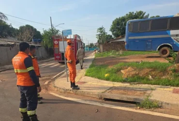 Bombeiros resgatam filhote de gato preso em bueiro em Confresa