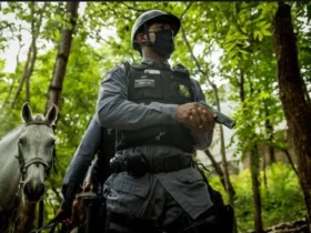 Dois são presos e drogas são apreendidas em operação da PM em Nova Mutum