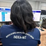 Campanha do Indea exige atualização do rebanho a partir de 1º de novembro