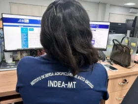 Campanha do Indea exige atualização do rebanho a partir de 1º de novembro