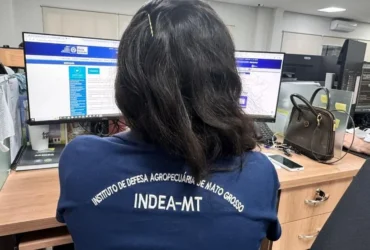 Campanha do Indea exige atualização do rebanho a partir de 1º de novembro