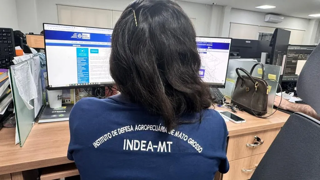 Campanha do Indea exige atualização do rebanho a partir de 1º de novembro