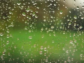 Clima