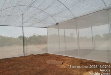 Projeto de aquaponia impulsiona agricultura familiar em Mato Grosso