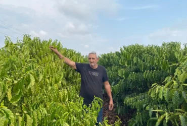 Café impulsiona agricultura familiar em Mato Grosso com apoio governamental