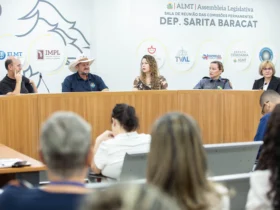 Assembleia de MT debate ações contra feminicídio