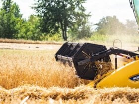 Consorcio de maquinas agricolas esta mudando o planejamento rural Pixabay 1