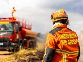 Corpo de Bombeiros de Mato Grosso combate 11 incendios florestais neste sabado
