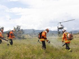 Corpo de Bombeiros de Mato Grosso combate 18 incendios florestais neste domingo