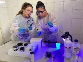 Corpo carbonizado em Confresa é identificado por impressões digitais
