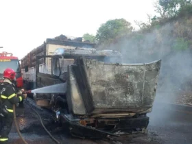 Bombeiros evitam propagação de incêndio em carreta na BR-364