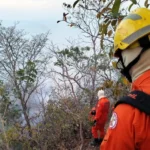 Corpo de Bombeiros aplica multa de R$ 80 milhões por incêndio no Parque Estadual da Serra Azul