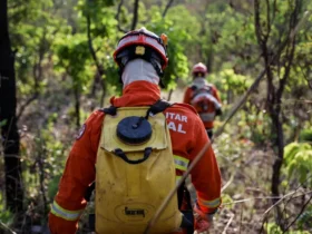 Bombeiros combatem 12 incêndios florestais em Mato Grosso neste domingo