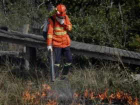 Bombeiros combatem 18 incêndios florestais em Mato Grosso