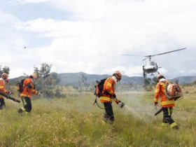 Bombeiros combatem 19 incêndios florestais em Mato Grosso
