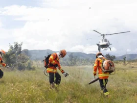 Corpo de Bombeiros enfrenta 20 incêndios florestais em Mato Grosso nesta quinta
