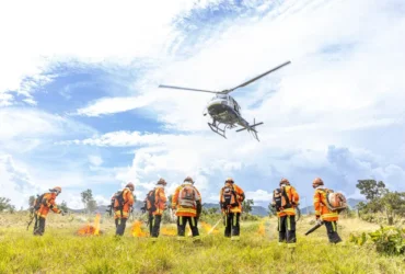 Bombeiros combatem 21 incêndios florestais em MT nesta sexta