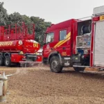 Bombeiros removem enxame de abelhas em residência de MT